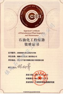 6石油化工装置检维修A