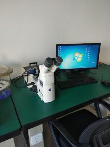 金相分析C